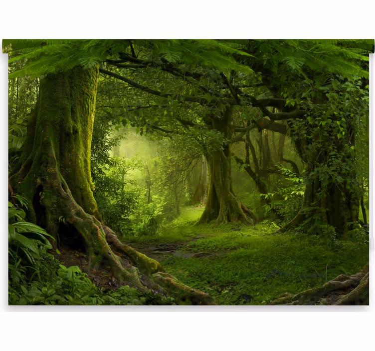 Tree roller blind lush woodland retreat - TenStickers