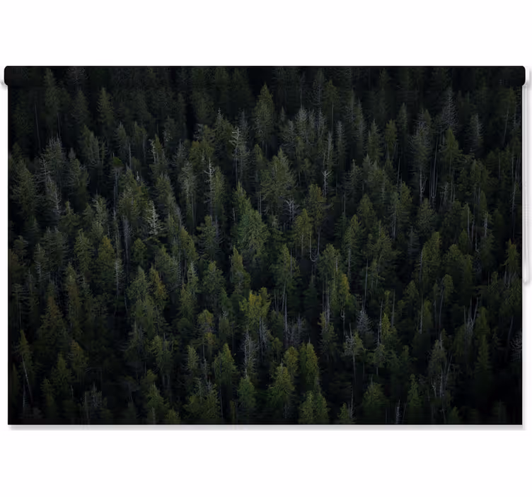Tree roller blind with deep woodland texture - TenStickers