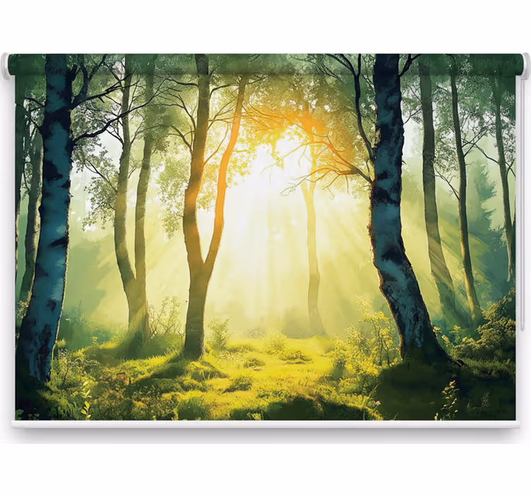 Tree roller blind sunlit birch mural - TenStickers