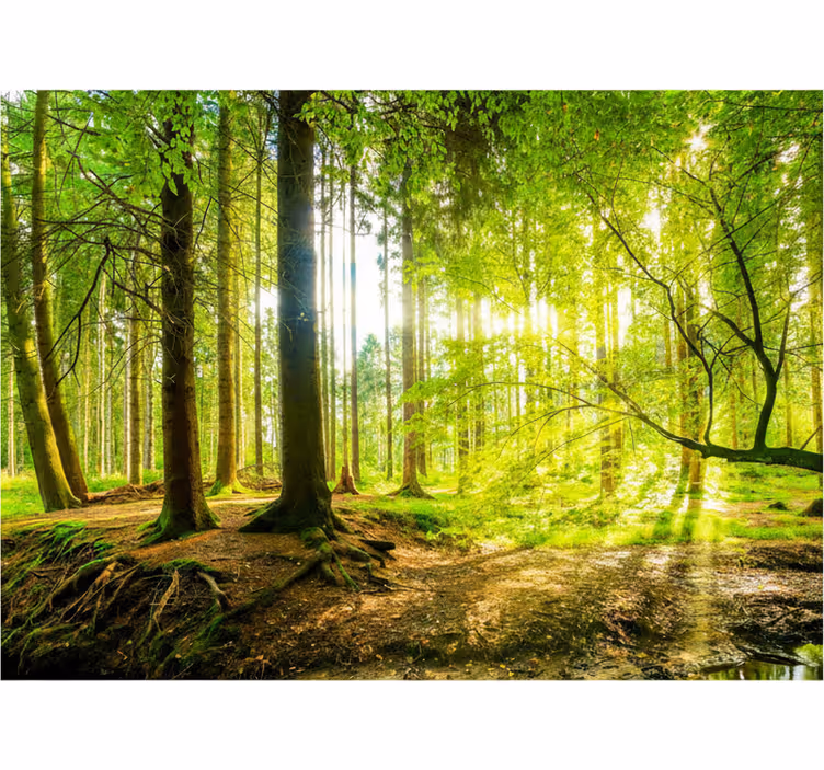 Lush mountain valley tree roller blind - TenStickers