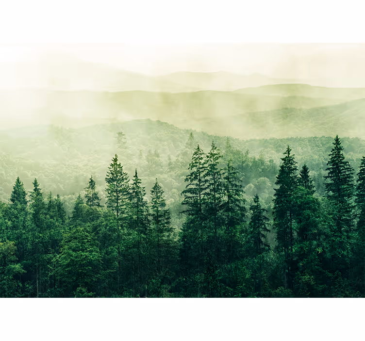 Kitchen roller blind green forest hill treetops - TenStickers