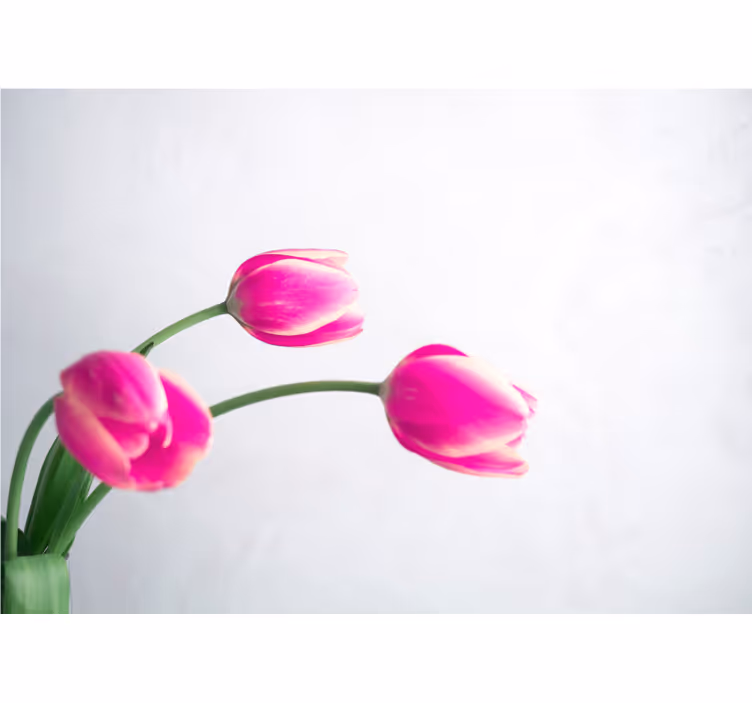 Kitchen roller blind three tulips white background - TenStickers