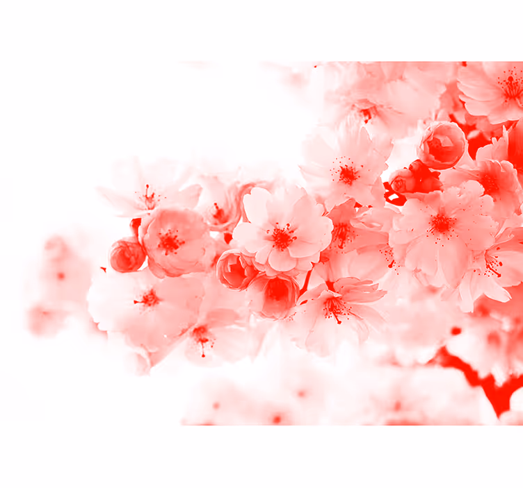 White roller blind with red bush design - TenStickers