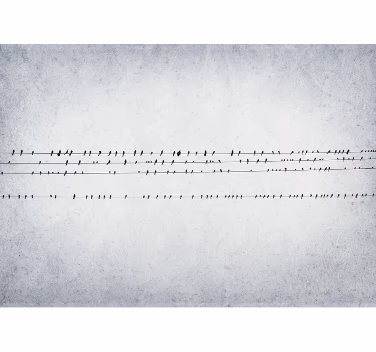 White roller blind bird symphony on lines - TenStickers