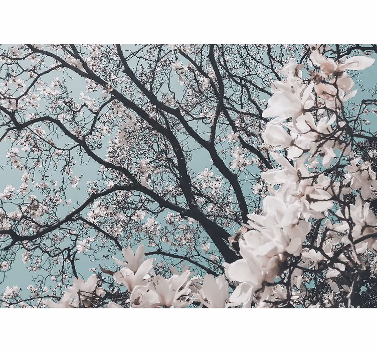 Living room roller blind elegant japanese cherry blossom - TenStickers