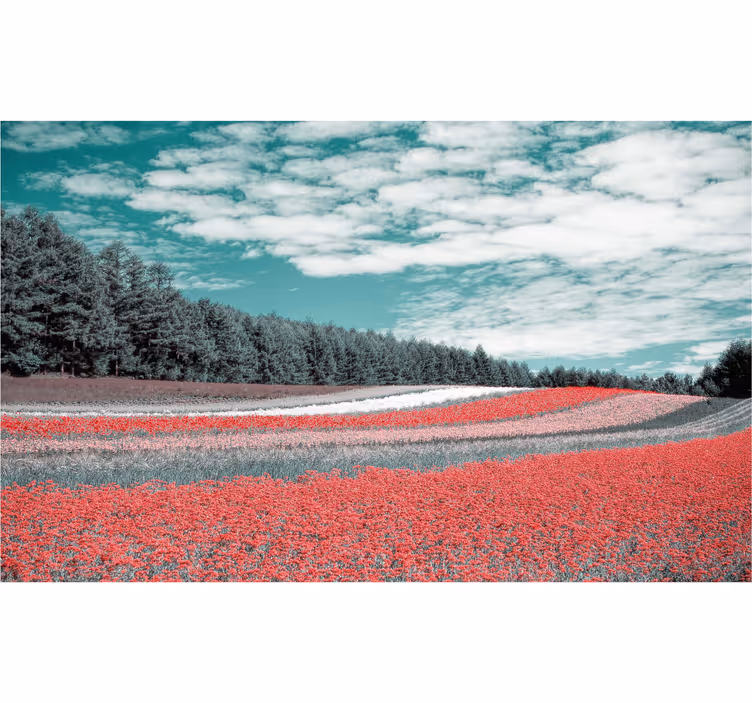 Living room roller blind wildflower meadow design - TenStickers