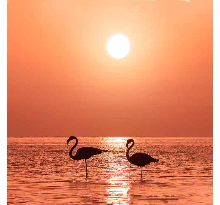Living room roller blind flamingo at sunset - TenStickers