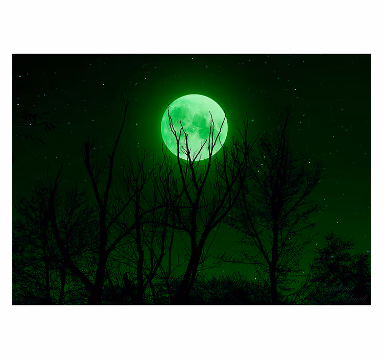 Black roller blind green moon - TenStickers