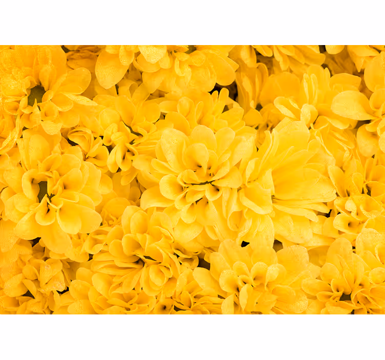 Yellow roller blind with flower petals design - TenStickers