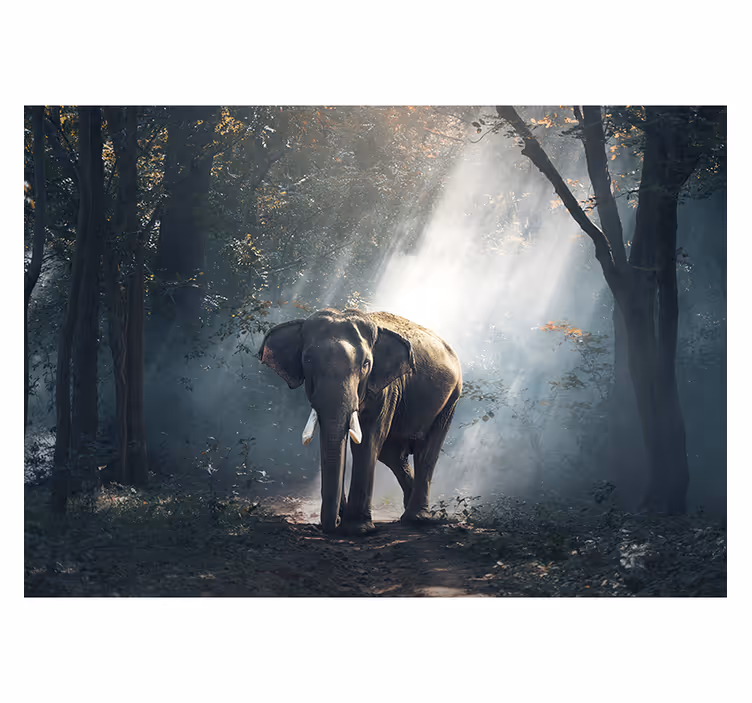 Living room roller blind elephant in the forest - TenStickers