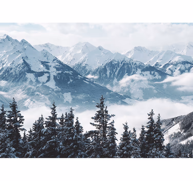 Living room roller blind snowy mountains and trees - TenStickers