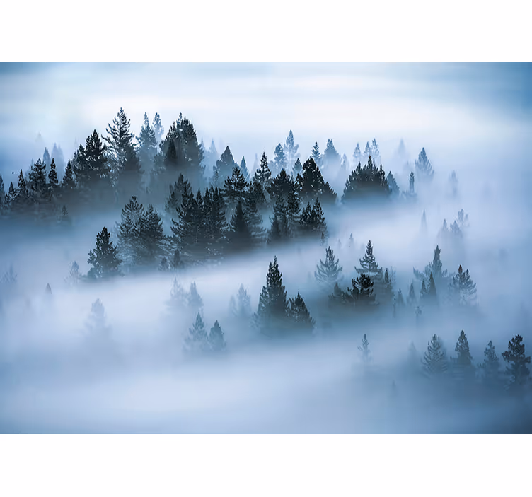 Living room roller blind morning fog - TenStickers