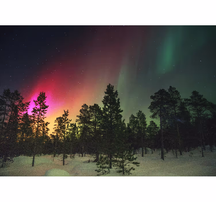Living room roller blind northern lights above trees - TenStickers