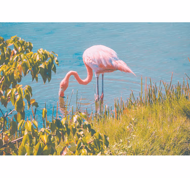 Living room roller blind with beautiful flamingo design - TenStickers