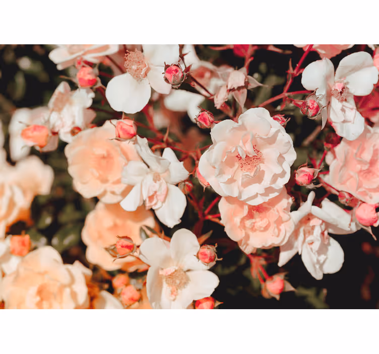 Living room roller blind abundant in flowers - TenStickers