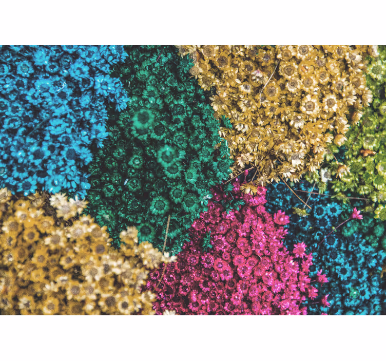 Living room roller blind rainbow daisies - TenStickers