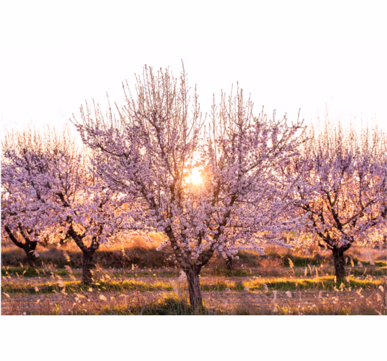 Living room roller blind pink landscape with flowers - TenStickers