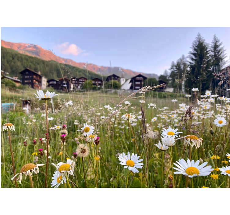 Living room roller blind village flower landscape - TenStickers