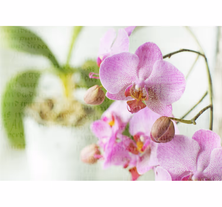 Living room roller blind in orchid design - TenStickers