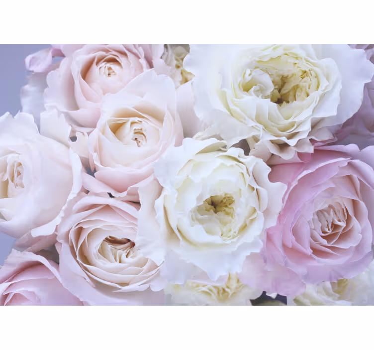 Living room roller blind different close-up roses - TenStickers
