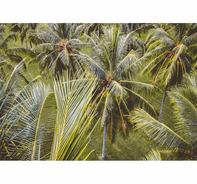 Living room roller blind green palm tree forest - TenStickers