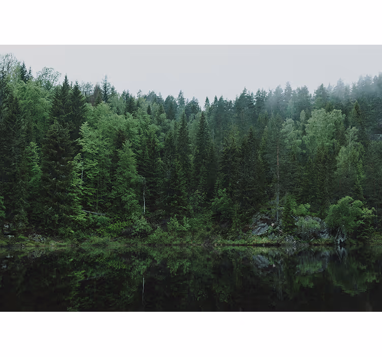 Living room roller blind a forest by the lake - TenStickers