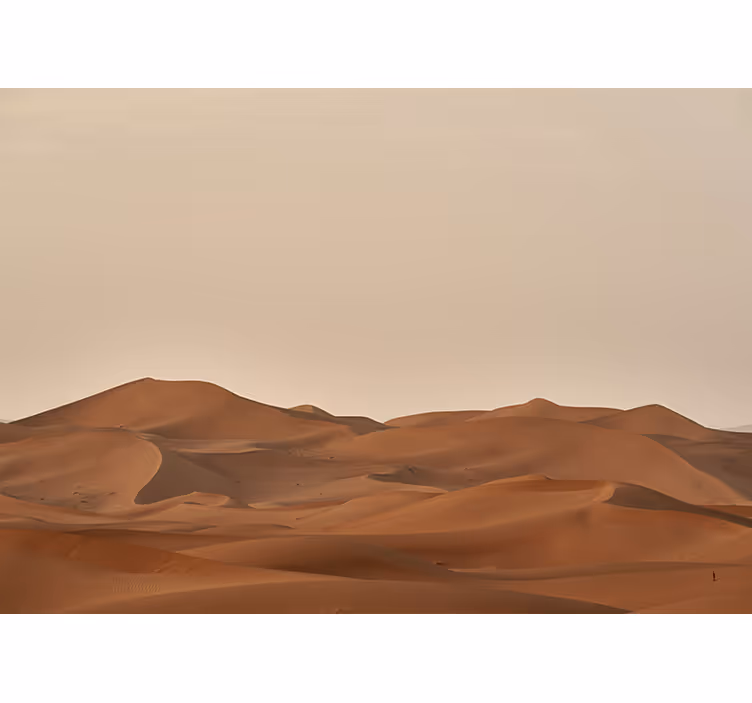 Living room roller blind sand dunes in the desert - TenStickers