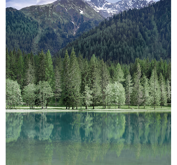 Living room roller blind nature's serene green lake - TenStickers