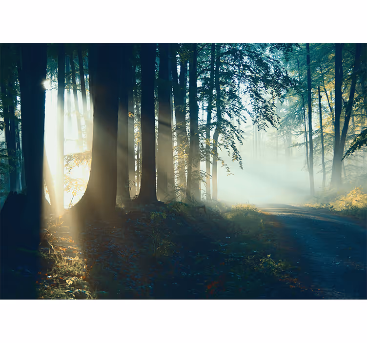 Living room roller blind beautiful winter forest - TenStickers