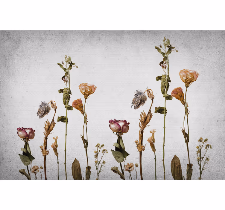 Living room roller blind with scandinavian dried plants - TenStickers