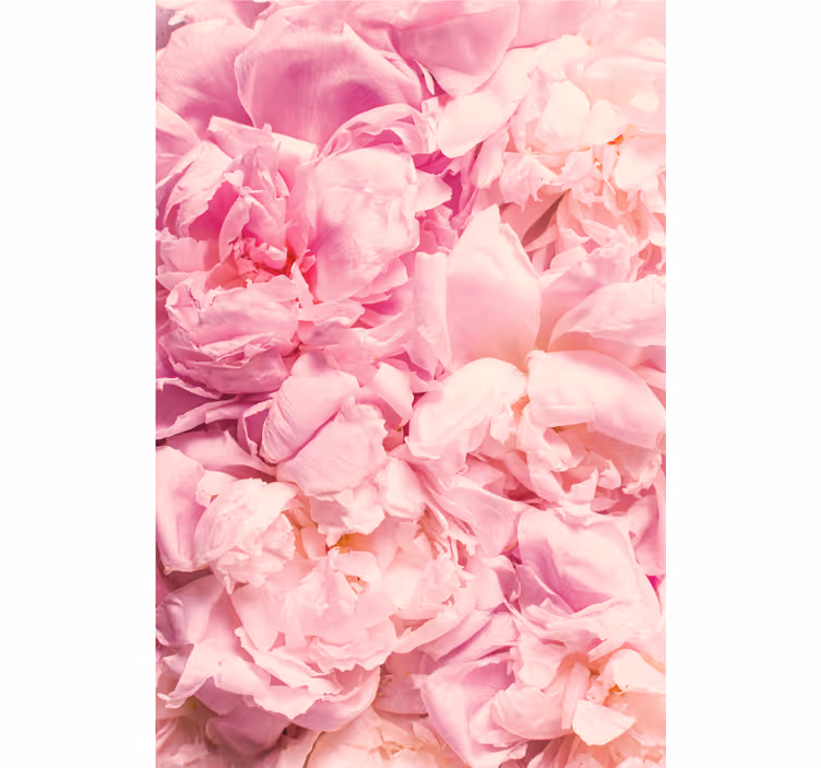 Bedroom roller blind with realistic pink peony flowers - TenStickers