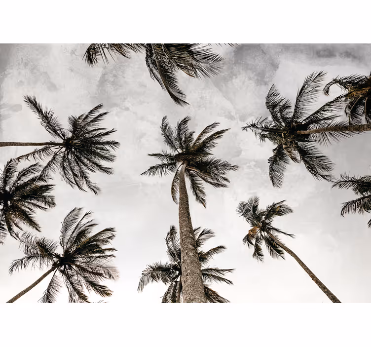 Grey roller blind with palm trees at low angle - TenStickers