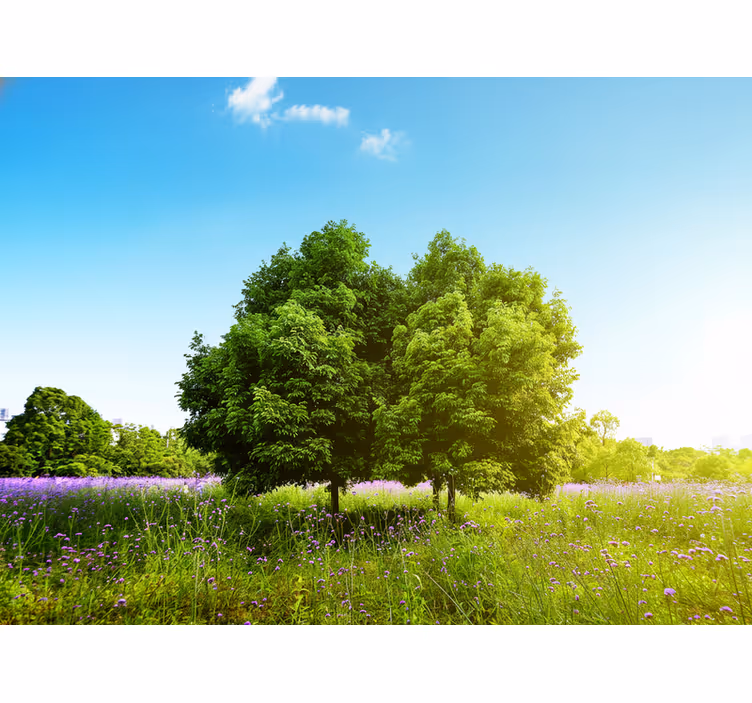 Living room roller blind tall spring tree - TenStickers