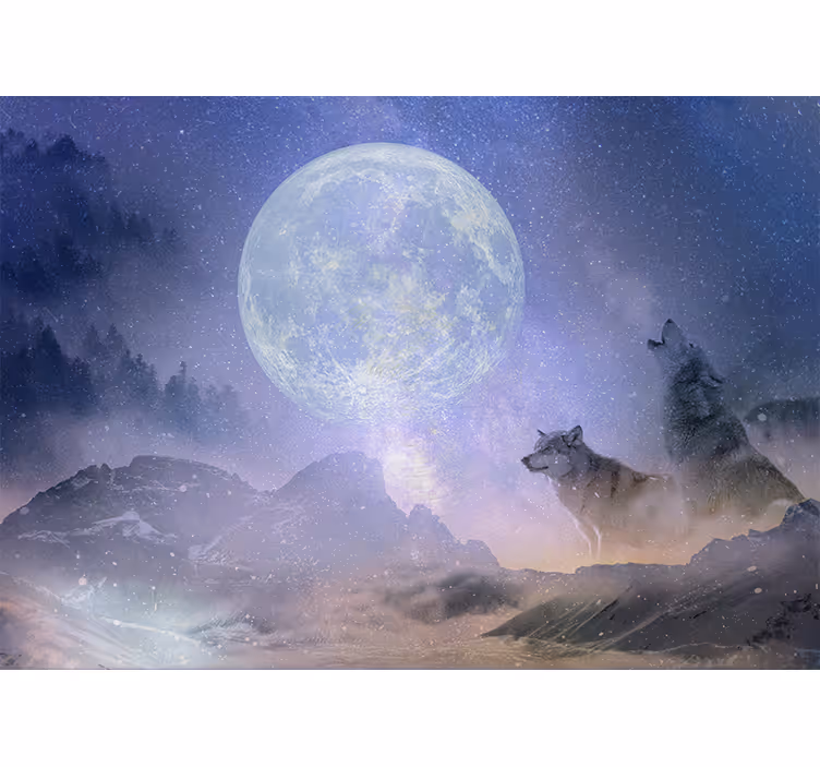 Living room roller blind wolf couple gazing at stars - TenStickers