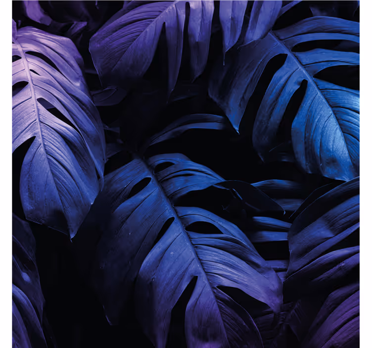 Living room roller blind neon exotic leaf - TenStickers