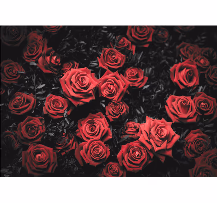 Bedroom roller blind in black and white with red roses - TenStickers