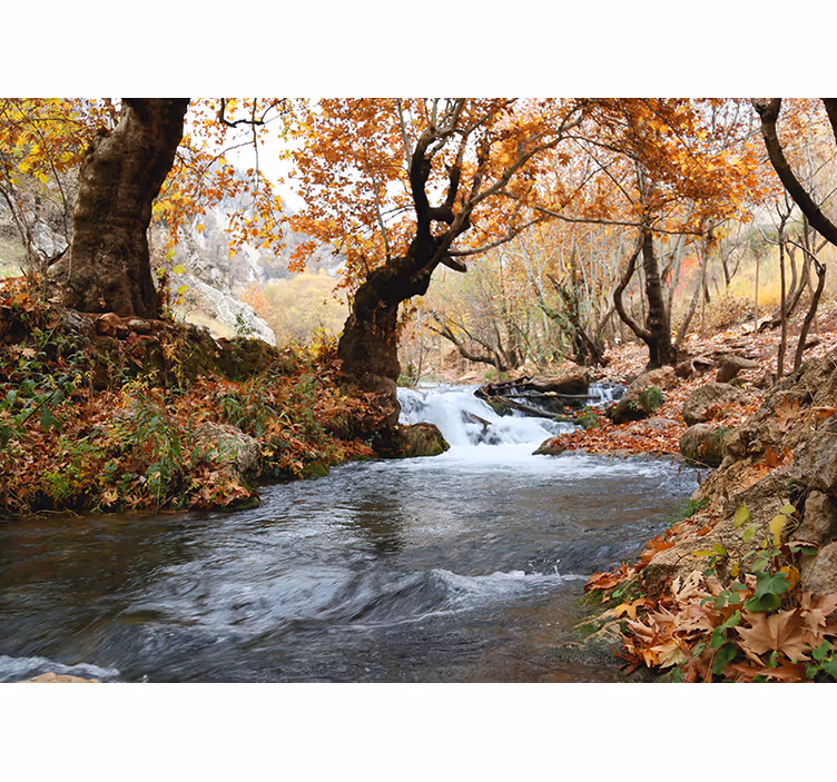 Bedroom roller blind autumn forest river flow - TenStickers