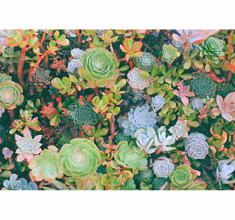 Bedroom roller blind multicolor tropical leaves - TenStickers