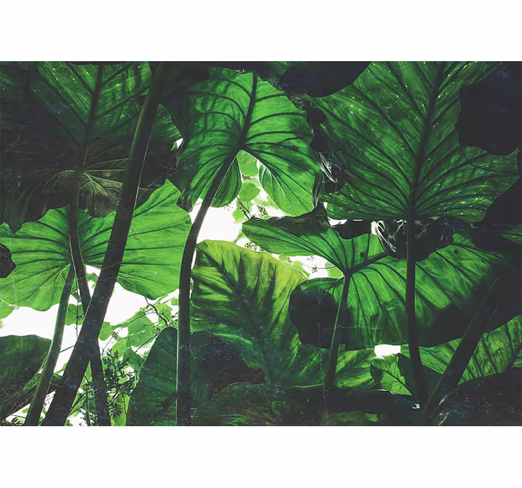 Bedroom roller blind with beautiful green rainforest design - TenStickers