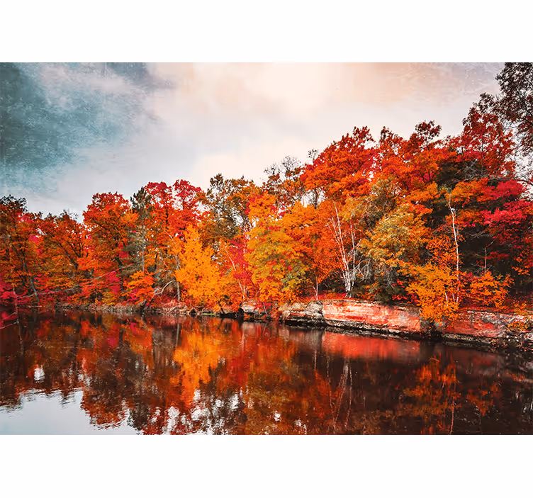 Bedroom roller blind autumn forest reflection - TenStickers