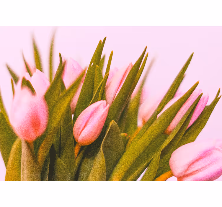 Bedroom roller blind with pink tulips design - TenStickers