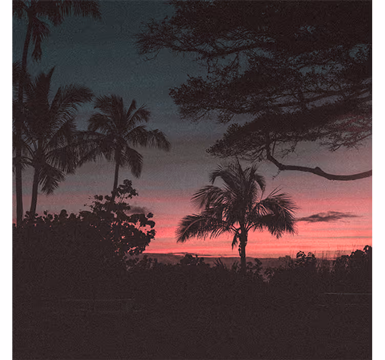 Living room roller blind trees in pink sky sunset - TenStickers
