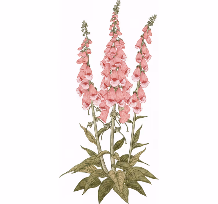 Living room roller blind with pink flowers - TenStickers