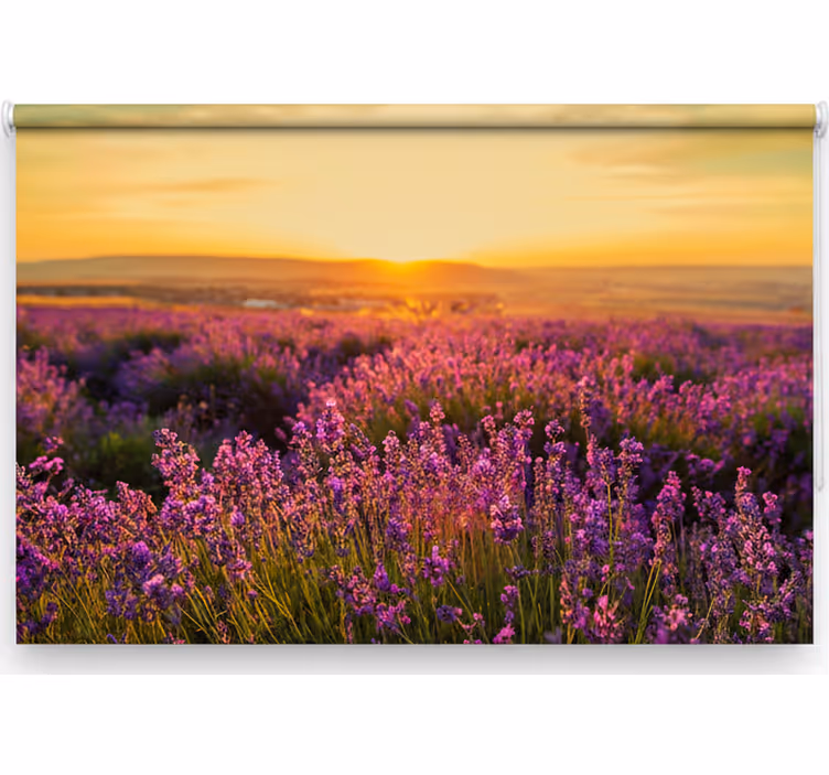 Bedroom roller blind panoramic provence - TenStickers