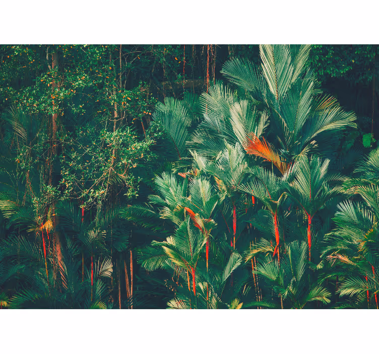 Bedroom roller blind jungle morning - TenStickers