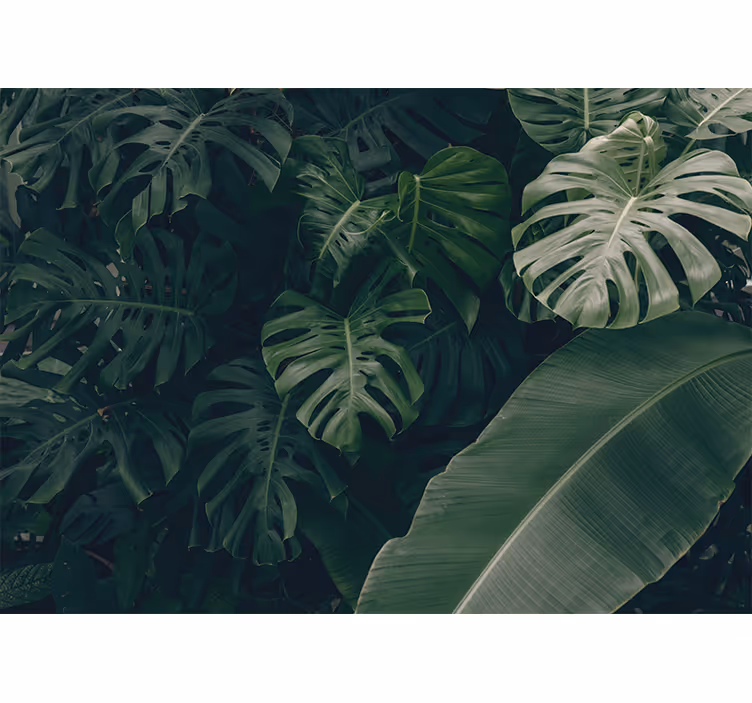 Bedroom roller blind in beautiful green jungle forest - TenStickers