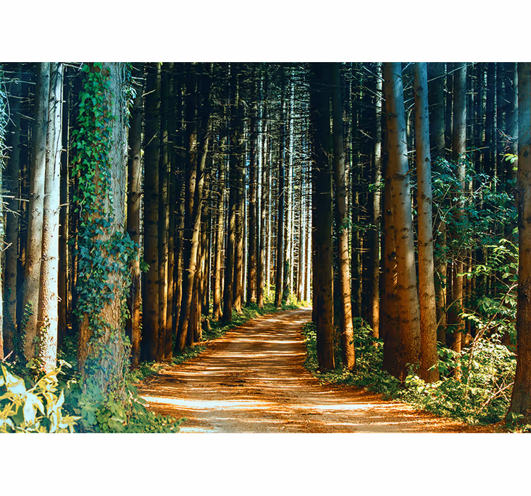 Bedroom roller blind beautiful nature path gate - TenStickers