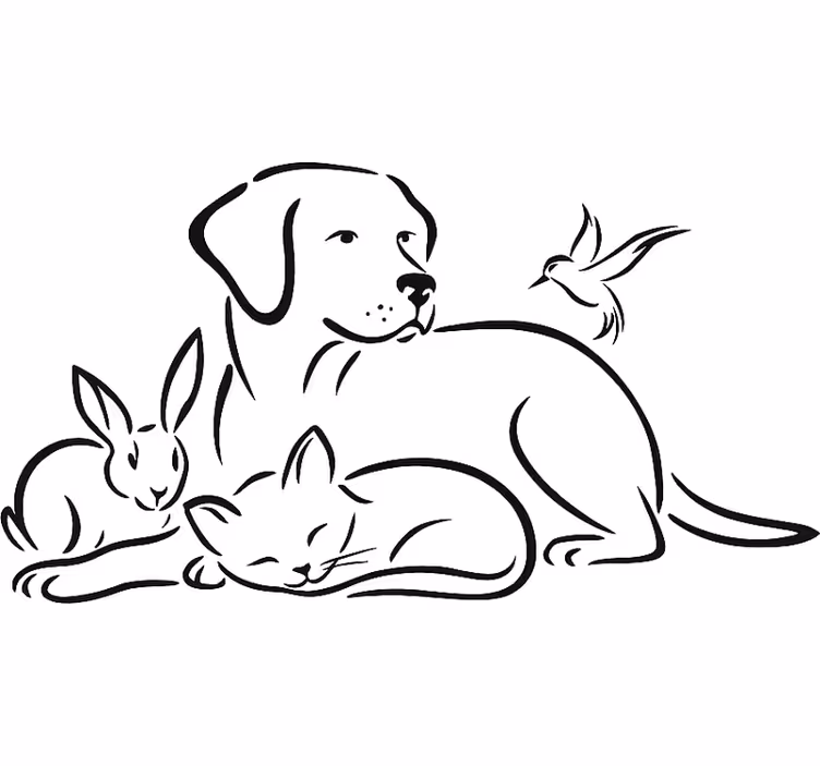 White roller blind pets wall decal - TenStickers
