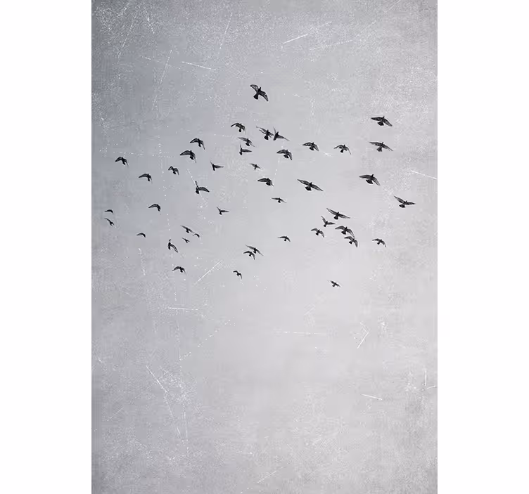 Bedroom roller blind with birds in flight - TenStickers