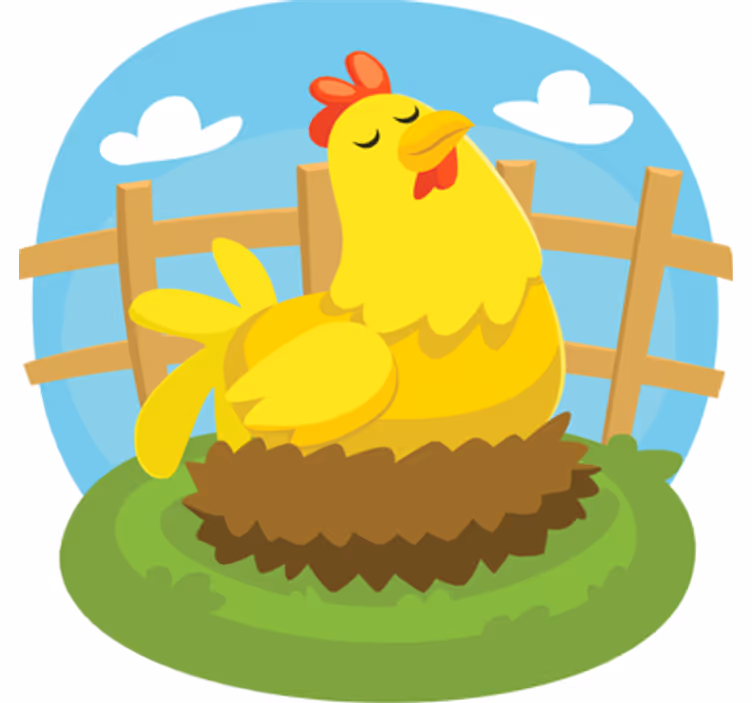 Kids roller blind laying hen design - TenStickers